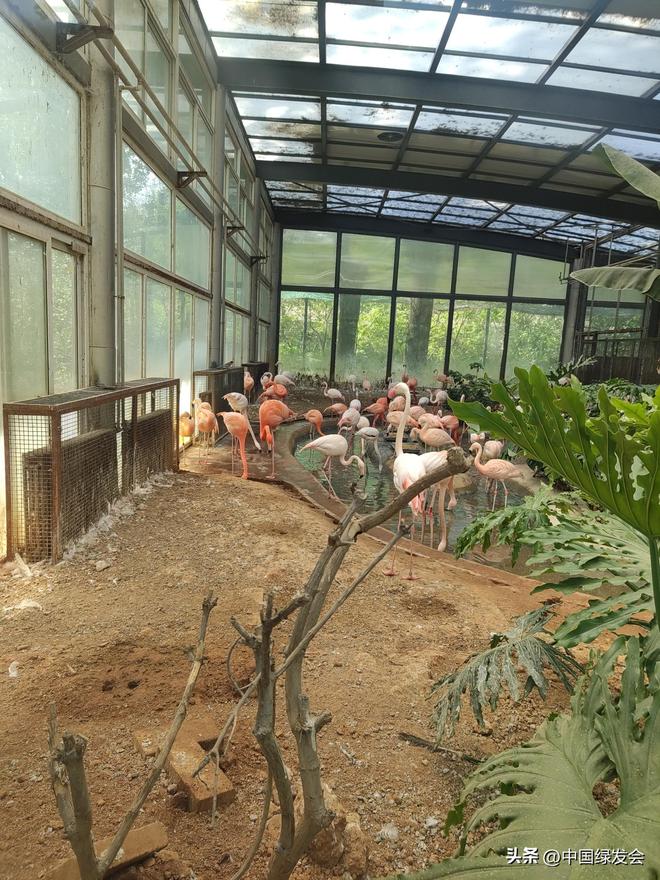 对野生动物最好的保护m6米乐不随意投喂是(图2)