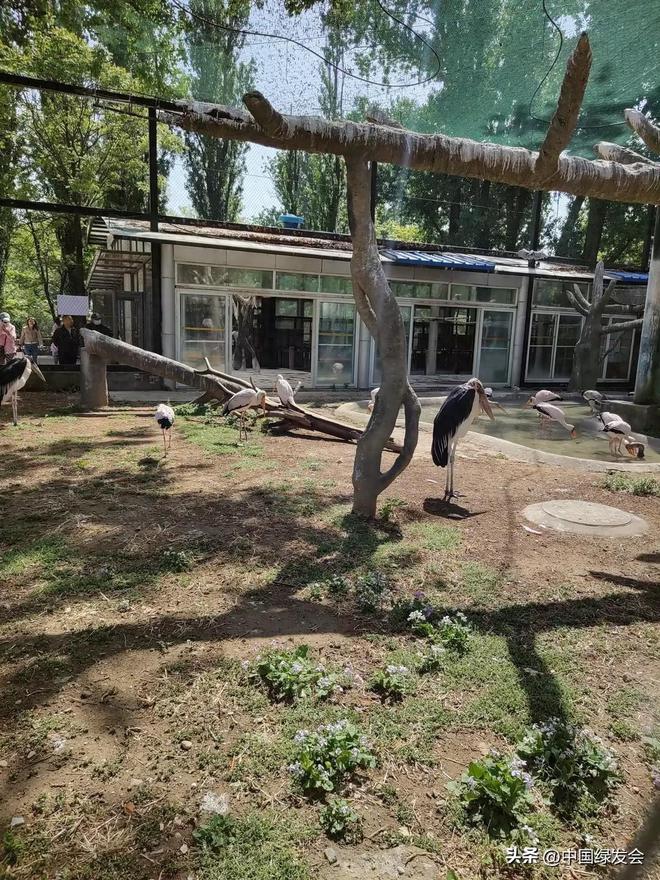 对野生动物最好的保护m6米乐不随意投喂是(图3)