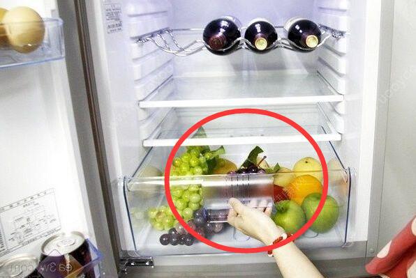 种冰箱绝对不能买浪费钱又不实用！米乐m6有钱买家电别得意记住这4(图4)