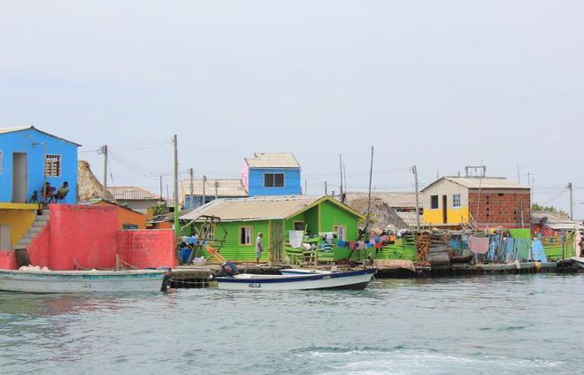 ”大海中央没警察没法律平均寿命85岁米乐m6登录入口1200人一生“蜗居(图8)