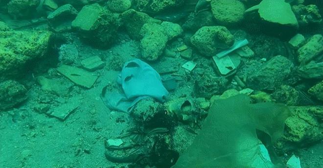 ”大海中央没警察没法律平均寿命85岁米乐m6登录入口1200人一生“蜗居(图16)