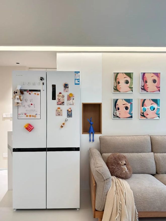 4不买”不是胡说都是经验！建议大家：冰箱一定坚持“(图4)